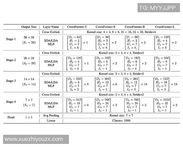 武汉乒乓球队运营分析：成功经验与面临挑战的深度探讨