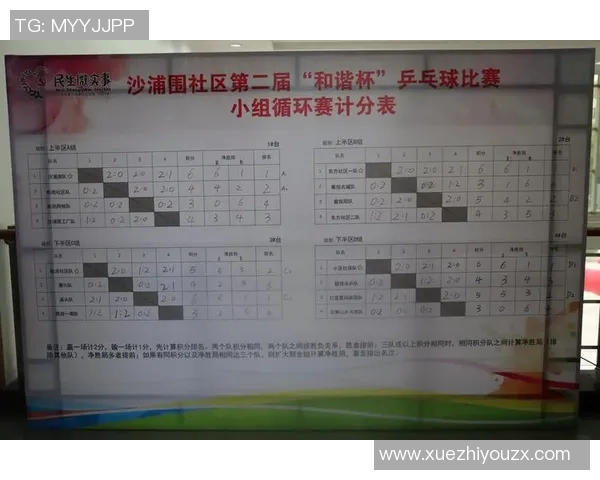 赵娜独家分享乒乓球技巧与心得助你提升球技的秘密之道